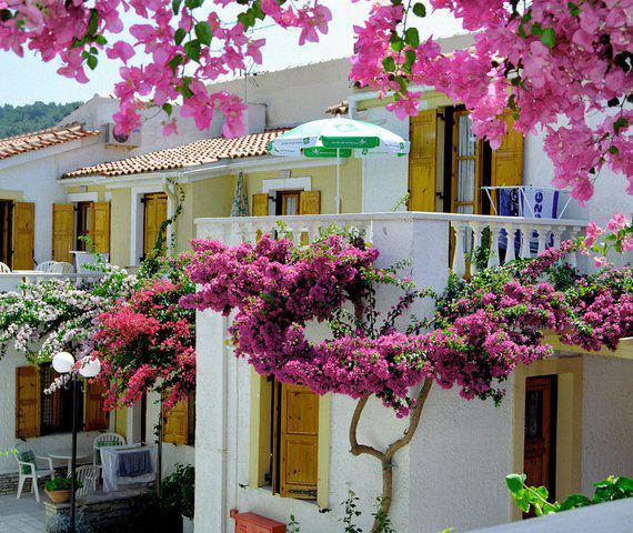 Olympia Beach Hotel Κοκκάρι Εξωτερικό φωτογραφία