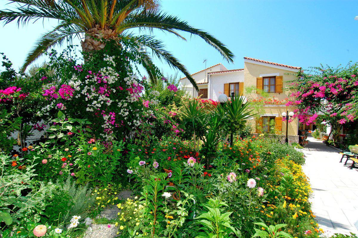 Olympia Beach Hotel Κοκκάρι Εξωτερικό φωτογραφία