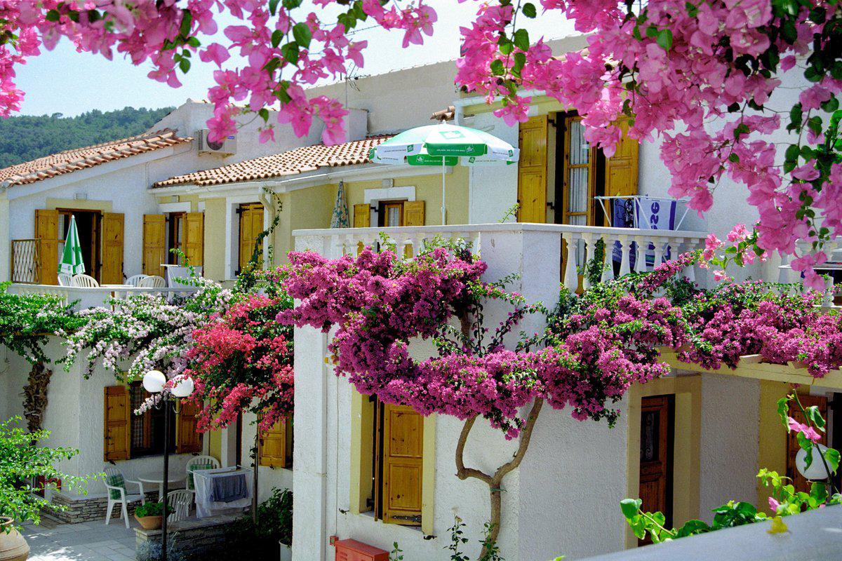 Olympia Beach Hotel Κοκκάρι Εξωτερικό φωτογραφία